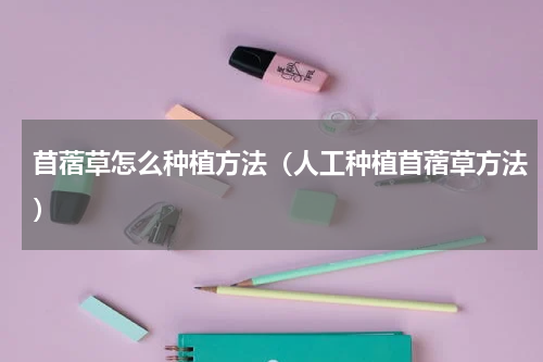 苜蓿草怎么种植方法（人工种植苜蓿草方法）