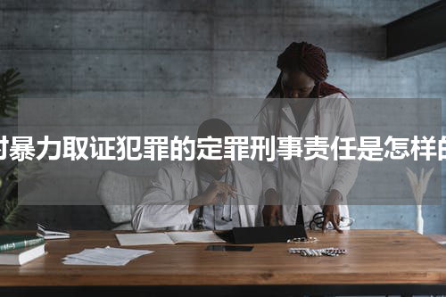 对暴力取证犯罪的定罪刑事责任是怎样的