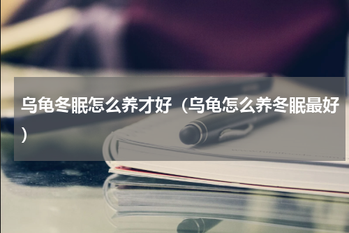 乌龟冬眠怎么养才好（乌龟怎么养冬眠最好）