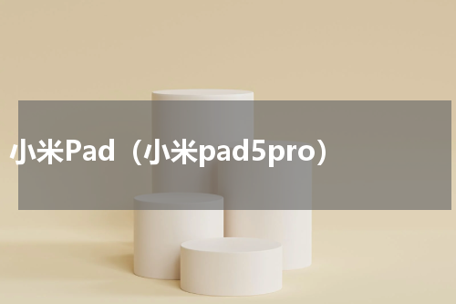 小米Pad（小米pad5pro）