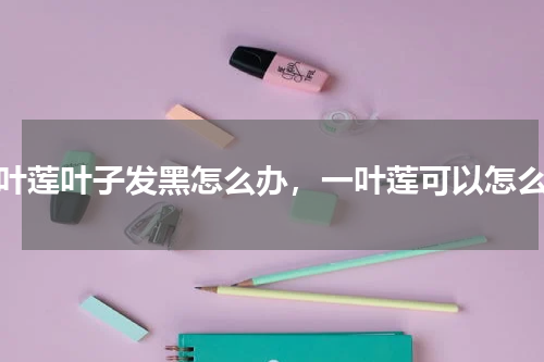 一叶莲叶子发黑怎么办，一叶莲可以怎么养