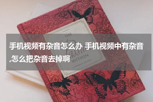 手机视频有杂音怎么办 手机视频中有杂音,怎么把杂音去掉啊