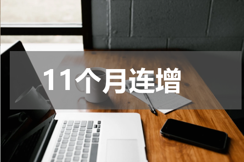 11个月连增