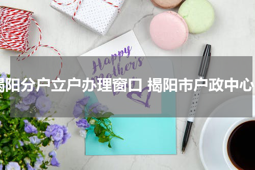 揭阳分户立户办理窗口 揭阳市户政中心