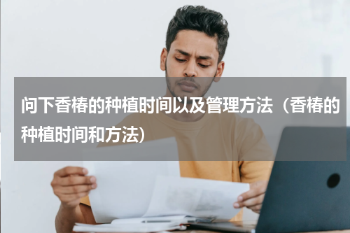 问下香椿的种植时间以及管理方法（香椿的种植时间和方法）