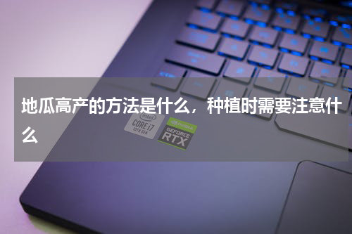地瓜高产的方法是什么，种植时需要注意什么