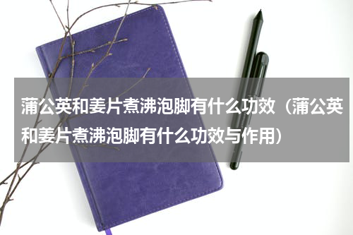 蒲公英和姜片煮沸泡脚有什么功效（蒲公英和姜片煮沸泡脚有什么功效与作用）