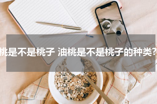 油桃是不是桃子 油桃是不是桃子的种类?