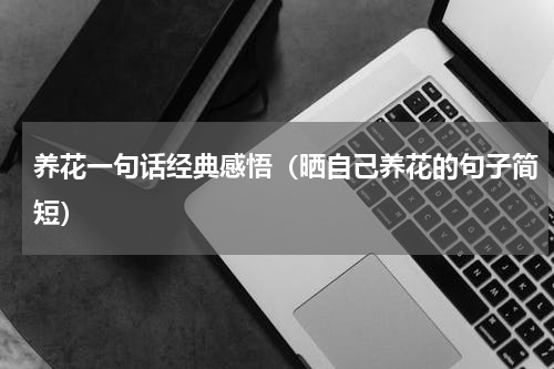 养花一句话经典感悟（晒自己养花的句子简短）