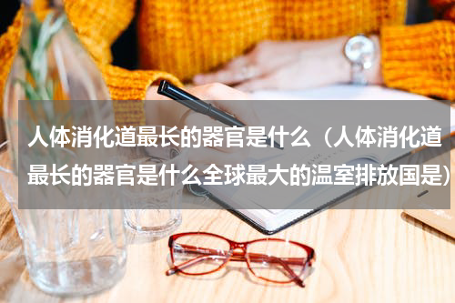 人体消化道最长的器官是什么（人体消化道最长的器官是什么全球最大的温室排放国是）