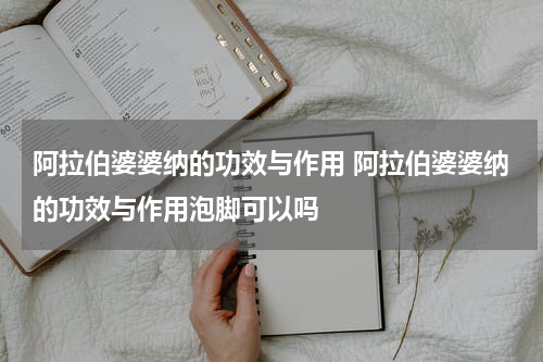 阿拉伯婆婆纳的功效与作用 阿拉伯婆婆纳的功效与作用泡脚可以吗