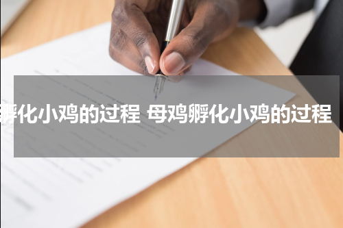孵化小鸡的过程 母鸡孵化小鸡的过程