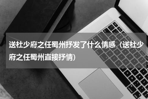 送杜少府之任蜀州抒发了什么情感（送杜少府之任蜀州直接抒情）