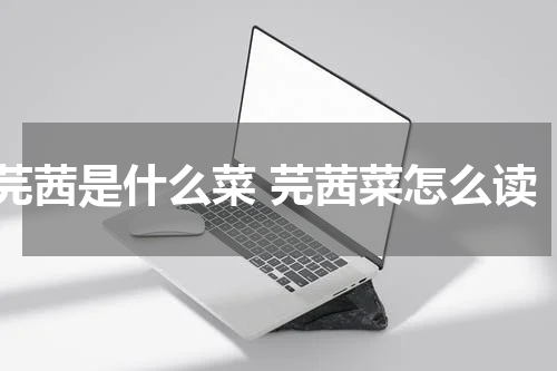 芫茜是什么菜 芫茜菜怎么读