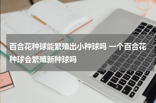百合花种球能繁殖出小种球吗 一个百合花种球会繁殖新种球吗