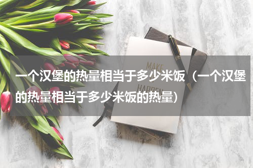一个汉堡的热量相当于多少米饭（一个汉堡的热量相当于多少米饭的热量）