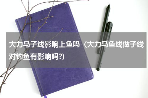 大力马子线影响上鱼吗（大力马鱼线做子线对钓鱼有影响吗?）