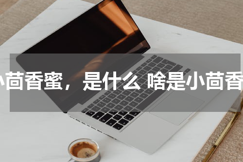 小茴香蜜，是什么 啥是小茴香