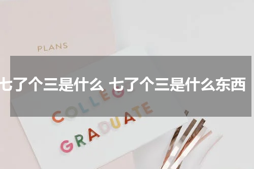 七了个三是什么 七了个三是什么东西