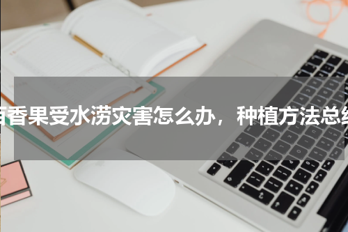百香果受水涝灾害怎么办，种植方法总结