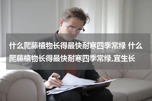 什么爬藤植物长得最快耐寒四季常绿 什么爬藤植物长得最快耐寒四季常绿,宜生长