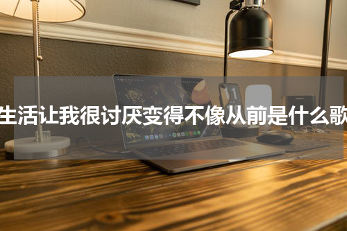 生活让我很讨厌变得不像从前是什么歌
