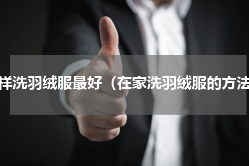 怎样洗羽绒服最好（在家洗羽绒服的方法）