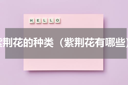 紫荆花的种类（紫荆花有哪些）