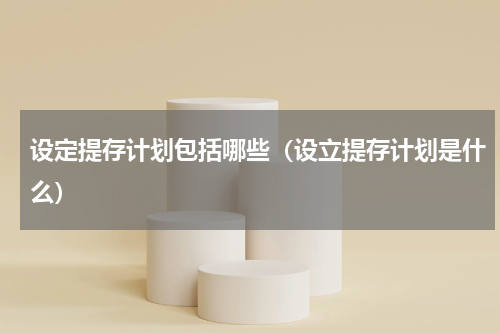 设定提存计划包括哪些（设立提存计划是什么）