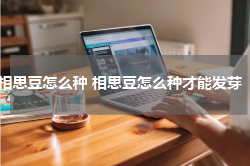 相思豆怎么种 相思豆怎么种才能发芽