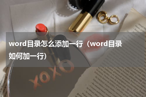 word目录怎么添加一行（word目录如何加一行）