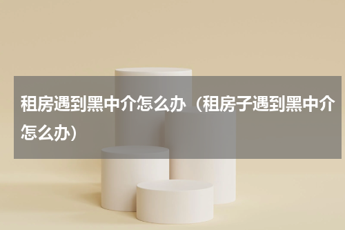 租房遇到黑中介怎么办（租房子遇到黑中介怎么办）