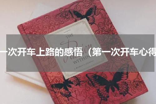 第一次开车上路的感悟（第一次开车心得）