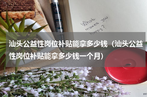 汕头公益性岗位补贴能拿多少钱（汕头公益性岗位补贴能拿多少钱一个月）