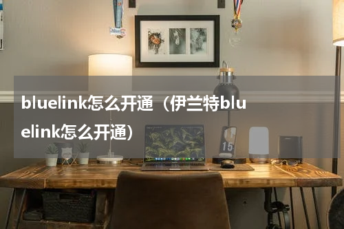 bluelink怎么开通（伊兰特bluelink怎么开通）