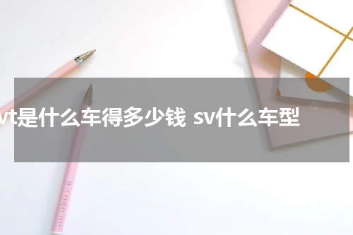 svt是什么车得多少钱 sv什么车型