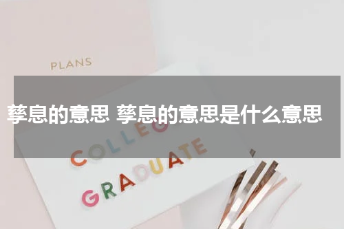 孳息的意思 孳息的意思是什么意思