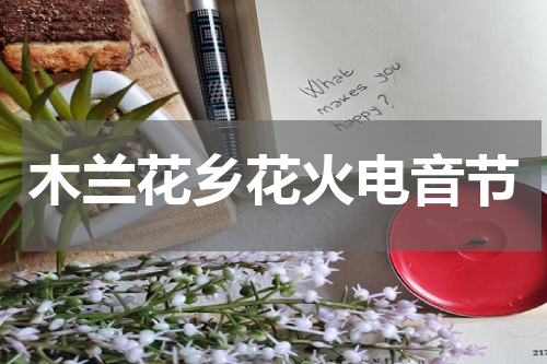 木兰花乡花火电音节