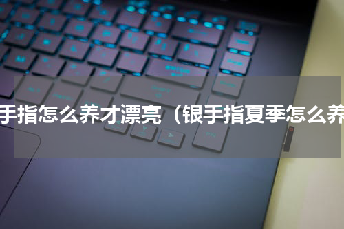 银手指怎么养才漂亮（银手指夏季怎么养）