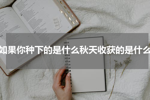 如果你种下的是什么秋天收获的是什么