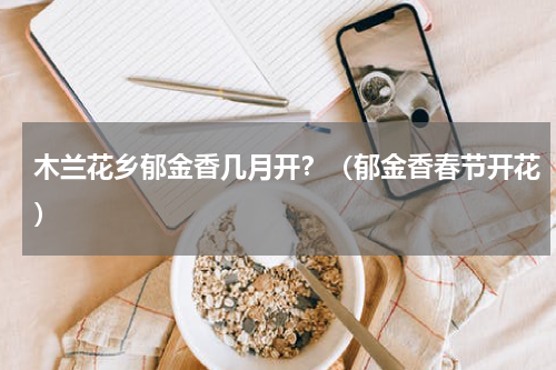 木兰花乡郁金香几月开？（郁金香春节开花）