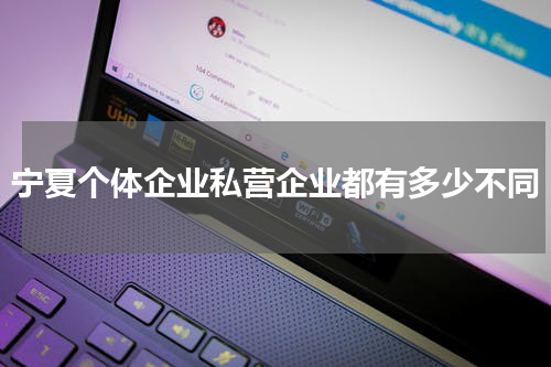 宁夏个体企业私营企业都有多少不同