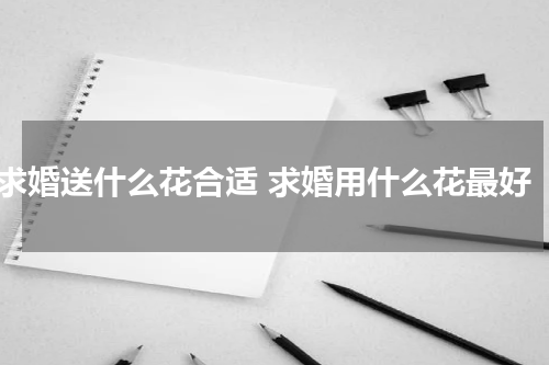 求婚送什么花合适 求婚用什么花最好