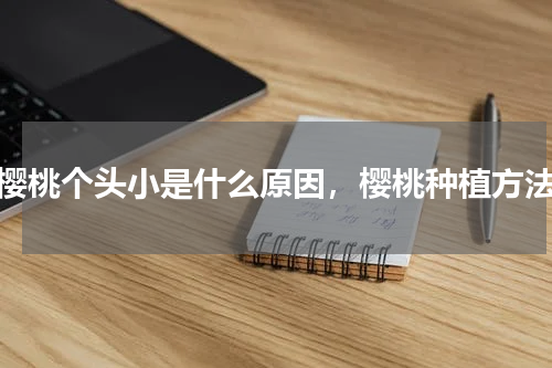 樱桃个头小是什么原因，樱桃种植方法