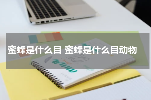 蜜蜂是什么目 蜜蜂是什么目动物