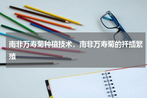 南非万寿菊种植技术，南非万寿菊的扦插繁殖