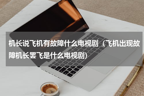 机长说飞机有故障什么电视剧（飞机出现故障机长罢飞是什么电视剧）