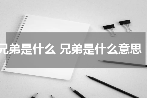 兄弟是什么 兄弟是什么意思