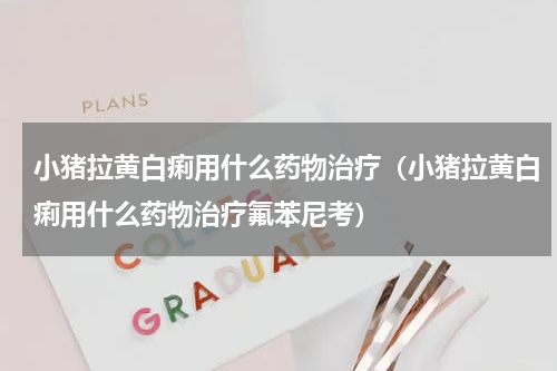 小猪拉黄白痢用什么药物治疗（小猪拉黄白痢用什么药物治疗氟苯尼考）