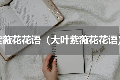 紫薇花花语（大叶紫薇花花语）